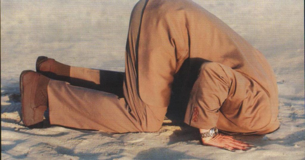 לטמון את הראש...