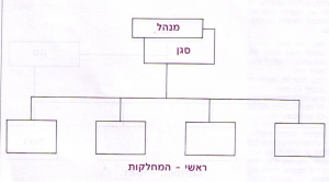 הסגן האפקטיבי