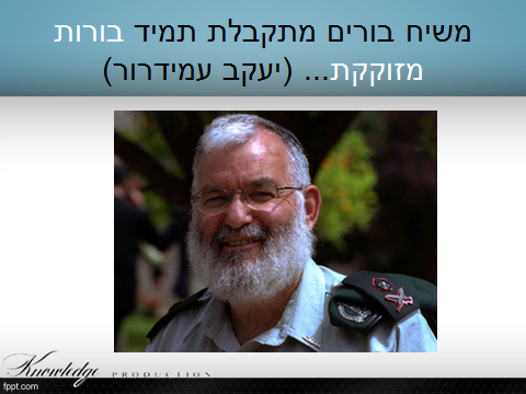 שיח בורים - עמידרור