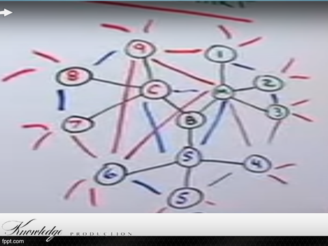 הרשת העולם האמתי