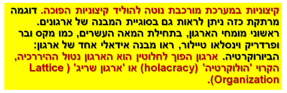 קיצוניות במערכת מורכבת נוטה להוליד קיצוניות הפוכה. דוגמה מרתקת כזה ניתן לראות גם בסוגיית המבנה של ארגונים. ראשוני מומחי הארגון, בתחילת המאה העשרים, כמו מקס ובר ופרדריק וינסלאו טיילור, ראו מבנה אידאלי אחד של ארגון: הביורוקרטיה. ארגון הפוך לחלוטין הוא הארגון נטול ההיררכיה, הקרוי ('הולוקרטיה' - holacracy) או 'ארגון שריג' (Lattice Organization).