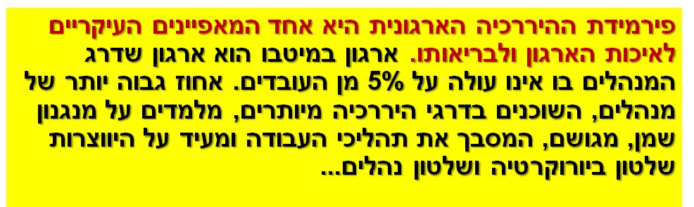 פירמידת ההיררכיה הארגונית היא אחד המאפיינים העיקריים לאיכות הארגון ולבריאותו. ארגון במיטבו הוא ארגון שדרג המנהלים בו אינו עולה על 5% מן העובדים. אחוז גבוה יותר של מנהלים, השוכנים בדרגי היררכיה מיותרים, מלמדים על מנגנון שמן, מגושם, המסבך את תהליכי העבודה ומעיד על היווצרות שלטון ביורוקרטיה ושלטון נהלים...