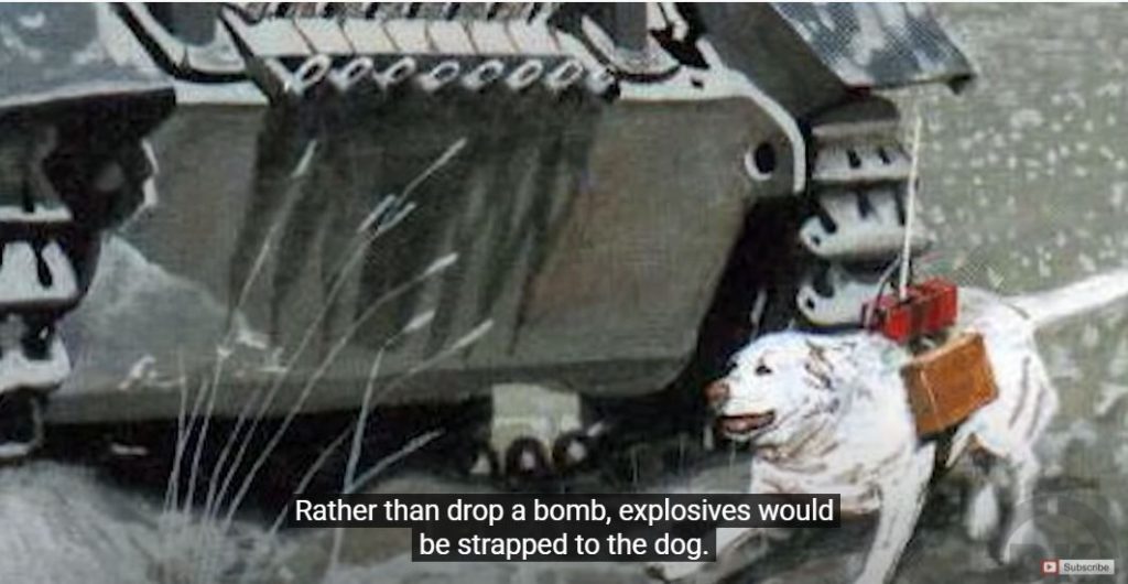 [בתמונה: הכלבים המריירים של פבלוב והטנקים הגרמנים במלחמת העולם השנייה... התמונה היא צילום מסך]