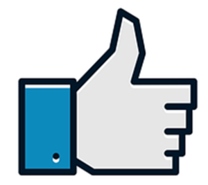 [בתמונה: בעד... תמונה חופשית - CC0 Creative Commons - שעוצבה והועלתה על ידי raphaelsilva לאתר Pixabay]