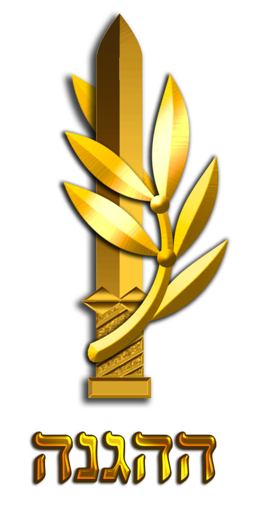 [בתמונה: סמל ההגנה. כיום מהווה חלק מסמל צה"ל ומוענק כסיכת מ"מ לבוגרי קורס קצינים... התמונה משמאל נוצרה והועלתה לויקיפדיה על ידי etai_han / דובר צה"ל. קובץ זה הוא בעל רישיון Creative Commons להפצה, תחת רישיון זהה, גרסה: CC BY-SA 3.0]