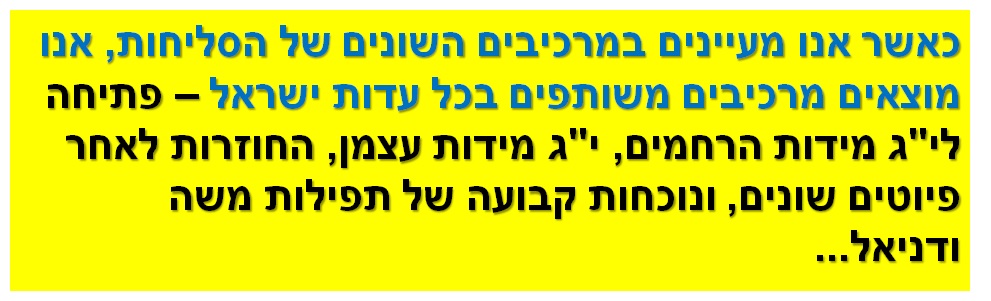כאשר אנו מעיינים במרכיבים השונים של הסליחות, אנו מוצאים מרכיבים משותפים בכל עדות ישראל – פתיחה לי"ג מידות הרחמים, י"ג מידות עצמן, החוזרות לאחר פיוטים שונים, ונוכחות קבועה של תפילות משה ודניאל...
