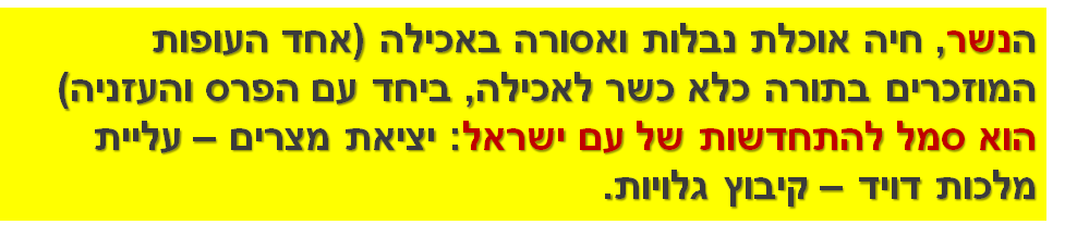 הנשר, חיה אוכלת נבלות ואסורה באכילה (אחד העופות המוזכרים בתורה כלא כשר לאכילה, ביחד עם הפרס והעזניה) הוא סמל להתחדשות של עם ישראל: יציאת מצרים – עליית מלכות דויד – קיבוץ גלויות.