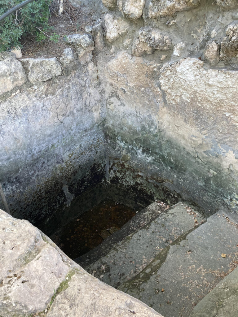 [בתמונה: מקווה מימי בית שני שנחשף בחוות שמשון... התמונה: גרשון הכהן]