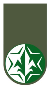 [בתמונה: תג השרוול של יחידה 8200]