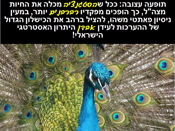 תופעה עצובה: ככל שהסטגנציה מכלה את החיות מצה"ל, כך הופכים מפקדיו רברבנים יותר, במעין ניסיון פאתטי משהו, להציל ברהב את הכישלון הגדול של ההערכות לעידן אבדן היתרון האסטרטגי הישראלי.