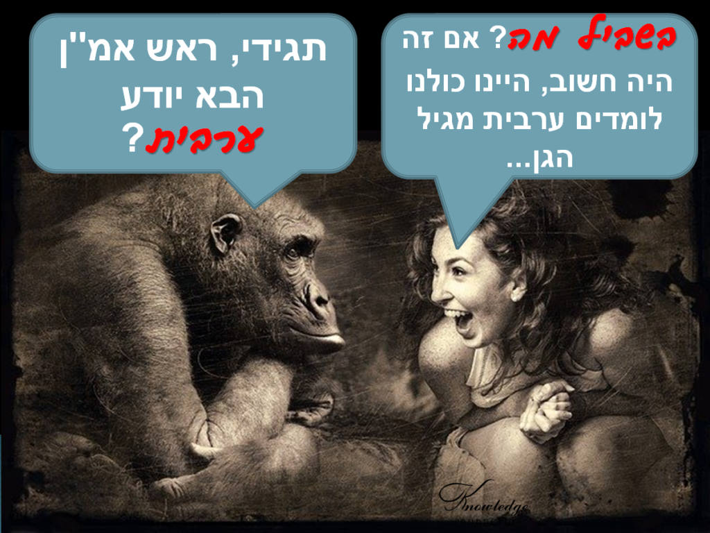 [בתמונה: אז ראש אמ"ן החדש יודע ערבית? תמונה חופשית - CC0 Creative Commons - שעוצבה והועלתה על ידי KELLEPICS לאתר Pixabay]