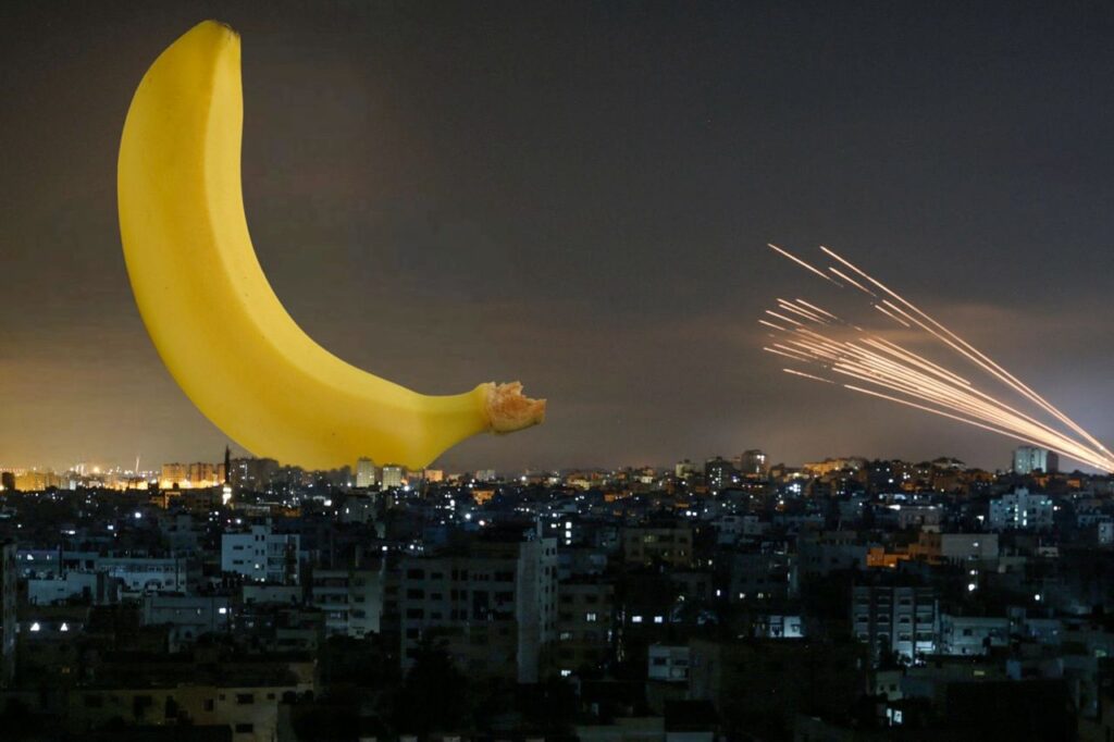 [בתמונה: הבננה הפכה לסמל המאבק הפרו ישראלי, אחרי שמפגינים פרו ישראלים באוניברסיטת UCLA גילו ב"אזור המשוחרר" אזהרות של המפגינים הפרו פלסטינים לא להביא בננות, כי אחד המפגינים אלרגי אליהן. התוצאה, המפגינים הפרו ישראלים הגיעו כולם עם בננות מלוא החופן... מקור התמונה: טוויטר. בעל הזכויות בתמונה זו לא אותר. לכן, השימוש נעשה לפי סעיף 27א' לחוק זכויות יוצרים. בעל הזכויות הראשי, אנא פנה ל: yehezkeally@gmail.com]