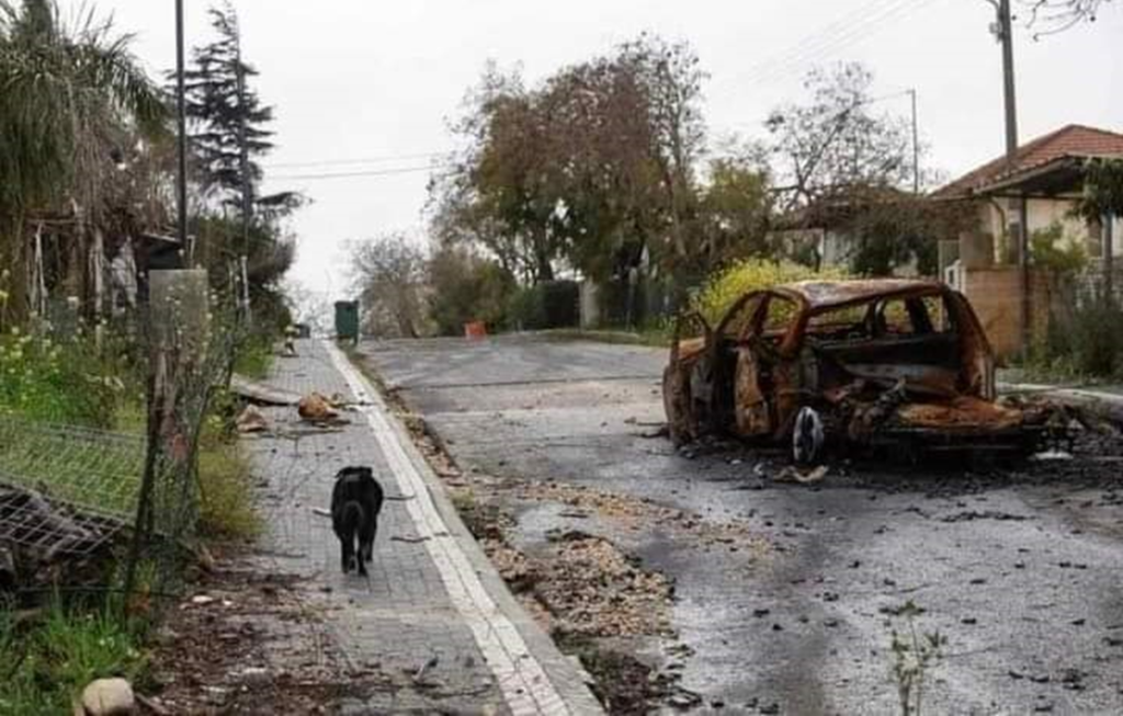 [בתמונה: מטולה שרויה בעלבונה... התמונה שותפה הרבה ברשתות החברתיות ובעל הזכויות שבה לא אותר. לכן, השימוש נעשה לפי סעיף 27א' לחוק זכויות יוצרים. בעל הזכויות הראשי, אנא פנה ל: yehezkeally@gmail.com]