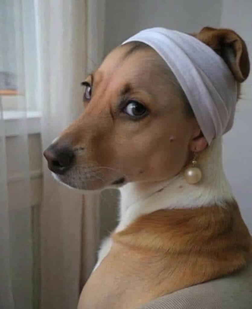 [בתמונה: פוליטיקת הזהויות... התמונה שותפה הרבה ברשתות החברתיות ובעל הזכויות שבה לא אותר. לכן, השימוש נעשה לפי סעיף 27א' לחוק זכויות יוצרים. בעל הזכויות הראשי, אנא פנה ל: yehezkeally@gmail.com]