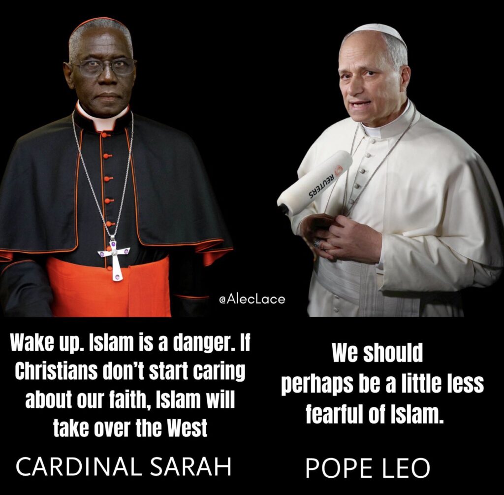 [בתמונה: מם מחאה המציג את האפיפיור ליאו מול הקרדינל שרה... המקור: דף הטוויטר של #FREESPEACH101. אנו מאמינים כי אנו עושים בתמונה שימוש הוגן]